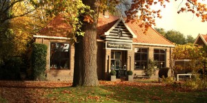 slideshow-1000x500