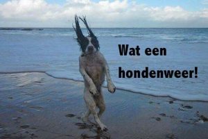 4b9ae32a0405d783ccf1ddedb773ea0f