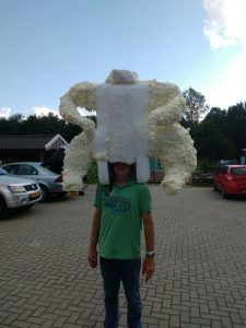 IMG-20160806-WA0003