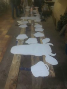 IMG-20170412-WA0004